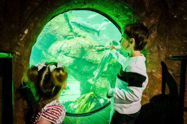 Macduff Marine Aquarium 4